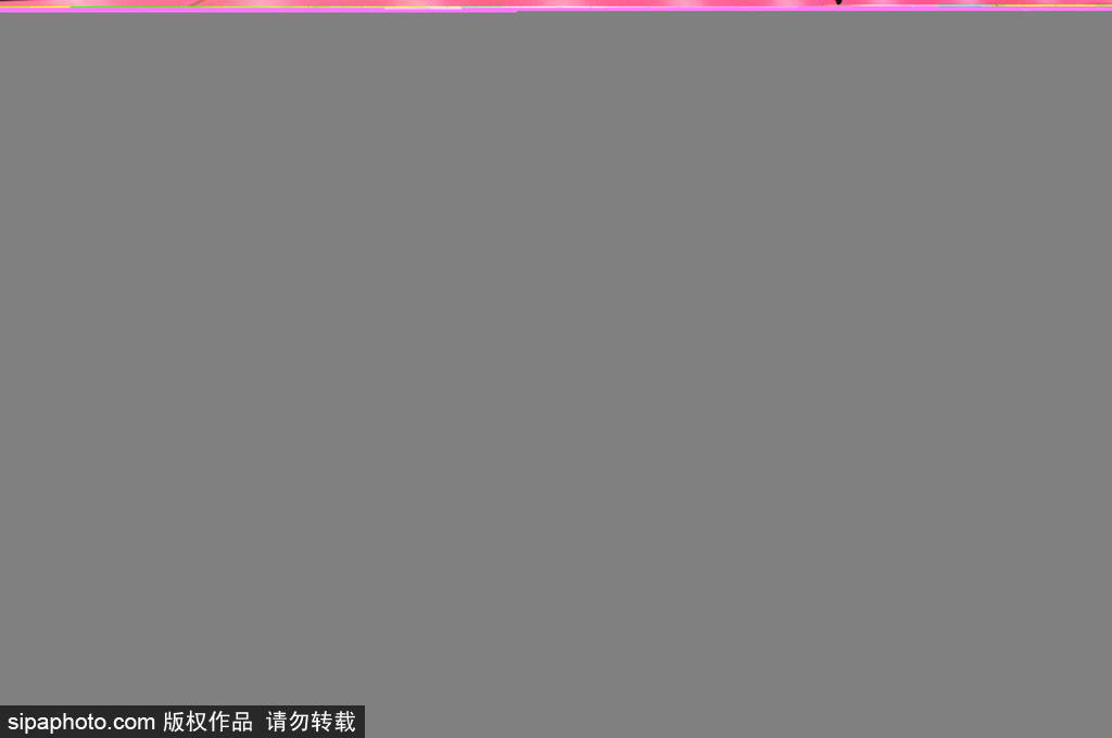 拜仁6-0大胜莱比锡:凯恩帽子戏法闪耀德甲揭幕战